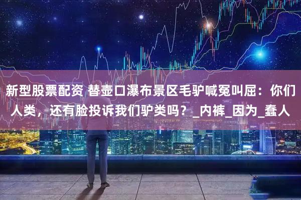 新型股票配资 替壶口瀑布景区毛驴喊冤叫屈：你们人类，还有脸投诉我们驴类吗？_内裤_因为_蠢人