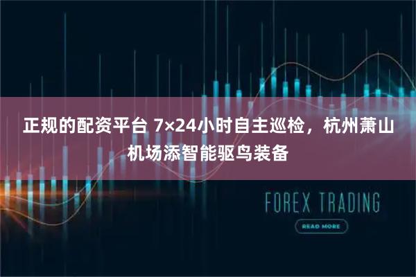 正规的配资平台 7×24小时自主巡检，杭州萧山机场添智能驱鸟装备